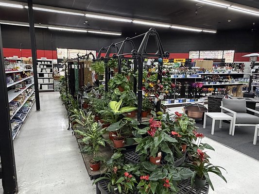 IMG 4822 Large IMG 4822 Large