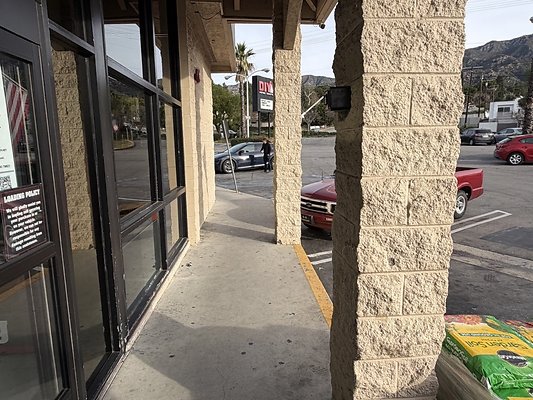 IMG 4876 Large IMG 4876 Large