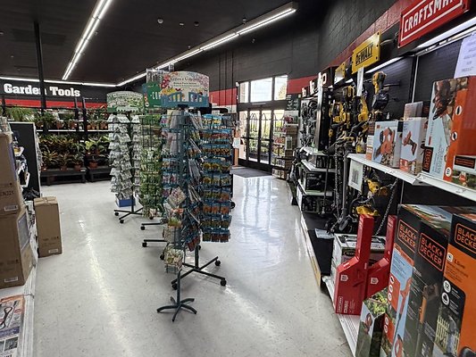 IMG 4855 Large IMG 4855 Large