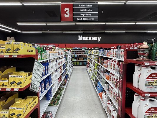 IMG 4819 Large IMG 4819 Large