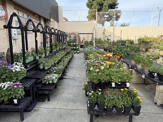 IMG 4859 Large IMG 4859 Large