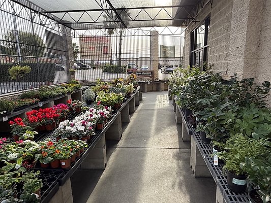 IMG 4871 Large IMG 4871 Large