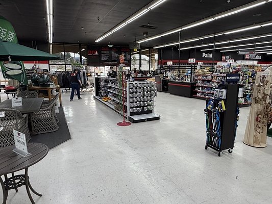 IMG 4796 Large IMG 4796 Large