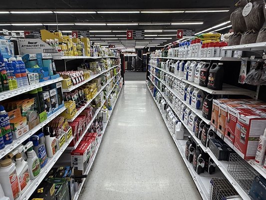 IMG 4826 Large IMG 4826 Large