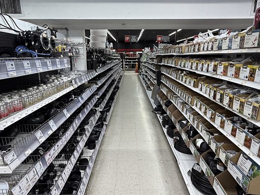 IMG 4771 Large IMG 4771 Large