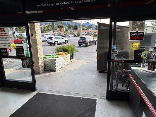 IMG 4875 Large IMG 4875 Large