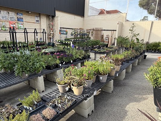 IMG 4861 Large IMG 4861 Large