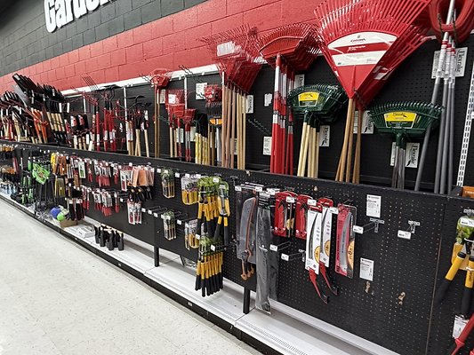 IMG 4830 Large IMG 4830 Large