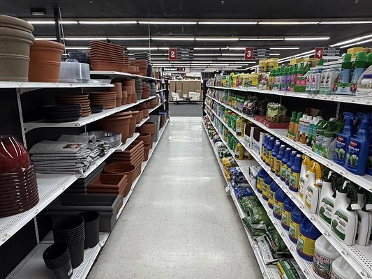 IMG 4825 Large IMG 4825 Large