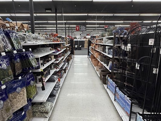 IMG 4824 Large IMG 4824 Large