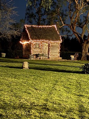 IMG 4317 Large IMG 4317 Large