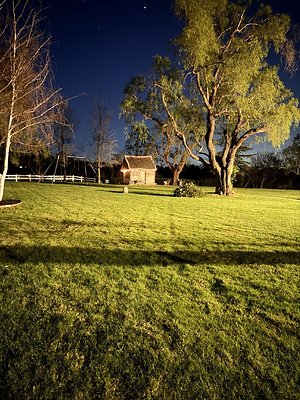 IMG 4316 Large IMG 4316 Large