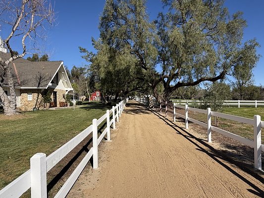 IMG 4362 Large IMG 4362 Large