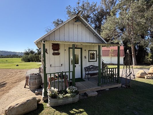 IMG 4364 Large IMG 4364 Large