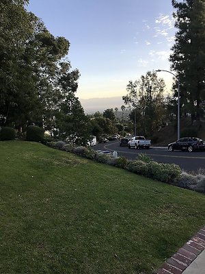 AAAA