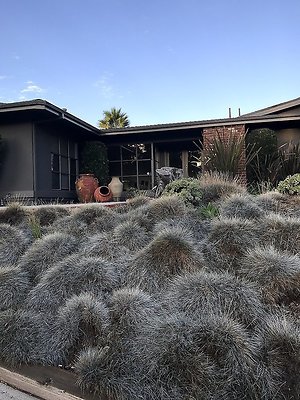 AAA