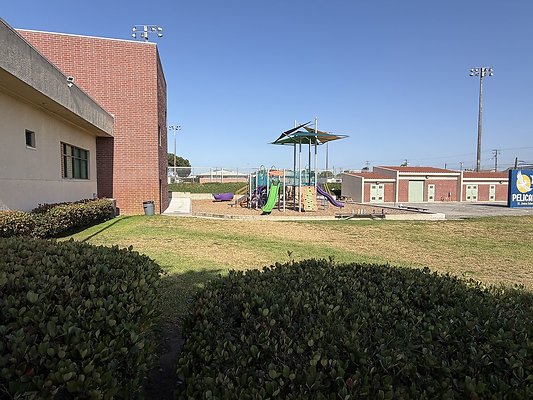 ball field4