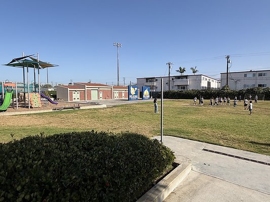 ball field3
